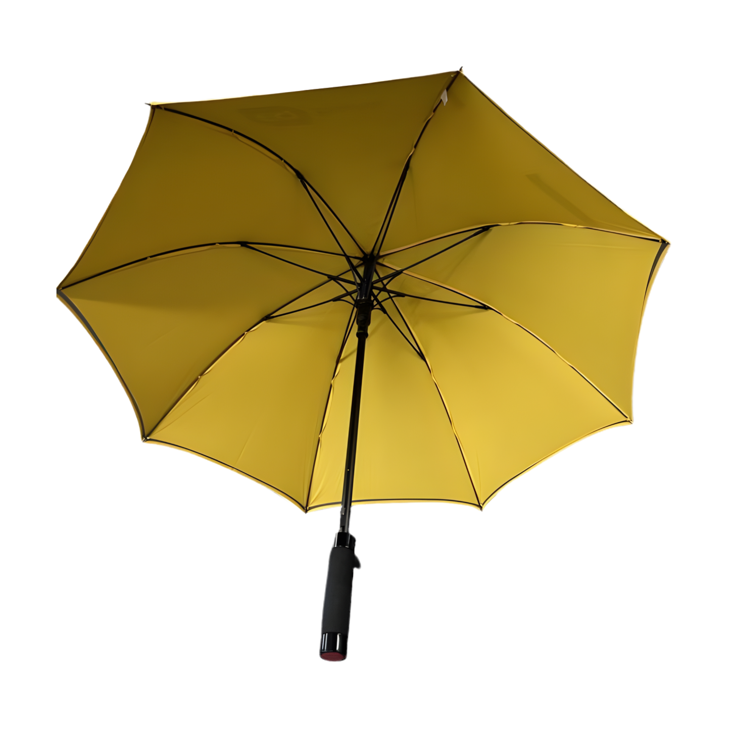 EQ Auto Open Umbrella - Limited Edition