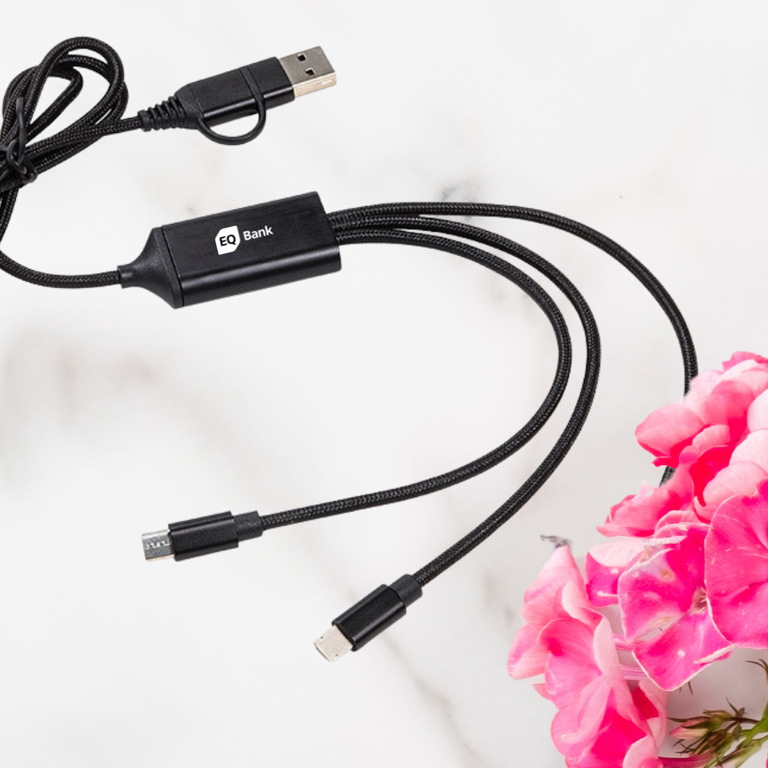 EQ LED Light-up Charging Cable
