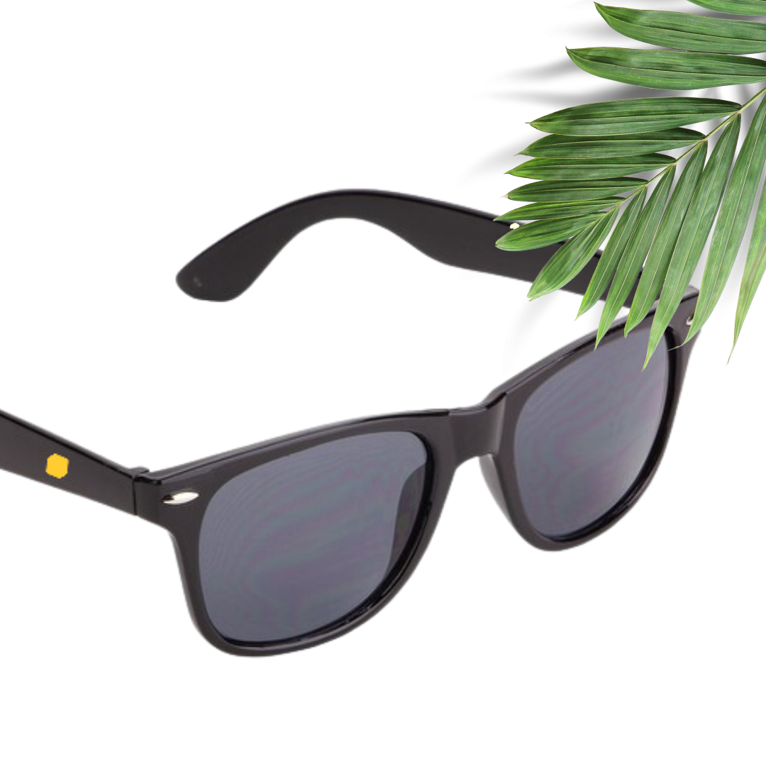 EQ Sunglasses